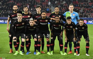 进口双组分打胶机